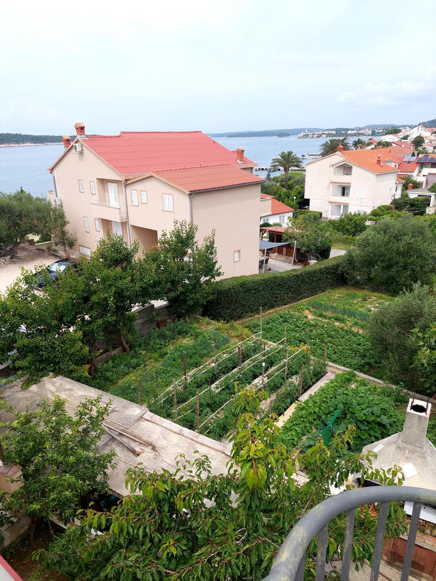 Apartment Olive House Rab Barbat na Rabu Værelse billede